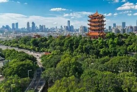 3d森林舞会游戏机机-3D森林舞会游戏机，沉浸式体验与互动娱乐的完美结合
