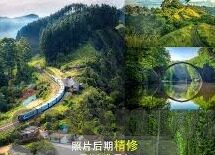 抢庄牛牛下载97-抢庄牛牛下载97，一场数字娱乐的革新