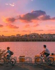 足球比分预测群-揭秘足球比分预测群，是智慧博弈场还是概率游戏陷阱？